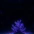 Velune, Музыка для исцеления плохих мыслей