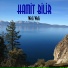 Hamit Bilir