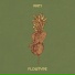 Flowtype