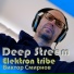 Elektron tribe (Виктор Смирнов)