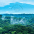 Nature Sounds Playlist 2022