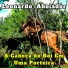 Leonardo Aboiador