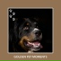 Relaxing Dog Music