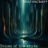 voidwalkerr