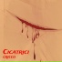 Cricco