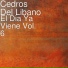 Cedros Del Libano