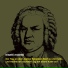 Insetti molesti