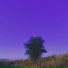 llavmll