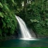 NATURE OF LIVE