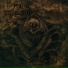 Murk Exorbitance