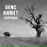 Genç Ahmet