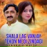Shabbir Haidri
