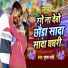 Bhushan Mahi