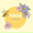 Yucca