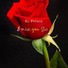 Ec Prince