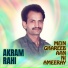 Akram Rahi