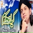 Hassan Raza Qadri