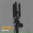 Phased Pulse