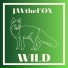 JAVtheFOX