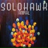 Solohawk