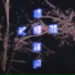 MXGNETQLA