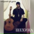 Николай Кокурин