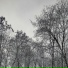 Goju