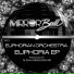 401. Euphorian Orchestra