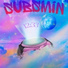 Subsmin