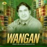 Moin Afzal Chand Qawwal