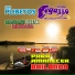 Grupo Pegasso