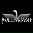 BullyNash