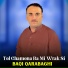 Baqi Qarabaghi