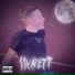 llynett