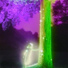 FORTXNA