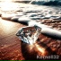 Kernell32 feat. Gianni Raschiatore