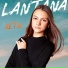 Lantana