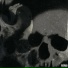 BTD SPECTRE