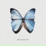 Bloodstream