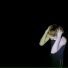 exiwillbefine feat. vertico