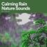 Loopable Rain Sounds