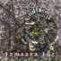 Samsara inc.