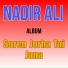 Nadir Ali