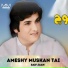 Saif Jaan