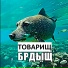 Свидетели Константиновича