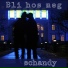 schandy