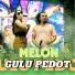 MELON