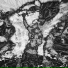 Plimmo