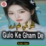 Koko Jaan