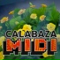 calabaza midi, Pablo Mano Testa